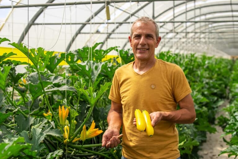 gilles josuan courgettes
