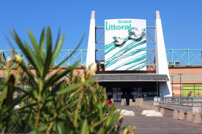 Ateliers, jeux et animations pour le festival vert et solidaire de Grand Littoral