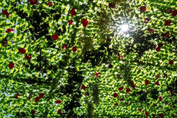 Aix, Un artiste marseillais imagine un toit v&eacute;g&eacute;tal en &laquo; fleurs &raquo; upcycl&eacute;es &agrave; Aix, Made in Marseille