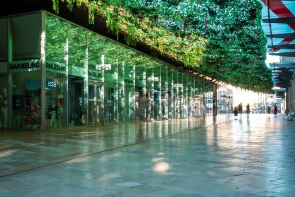 Aix, Un artiste marseillais imagine un toit v&eacute;g&eacute;tal en &laquo; fleurs &raquo; upcycl&eacute;es &agrave; Aix, Made in Marseille