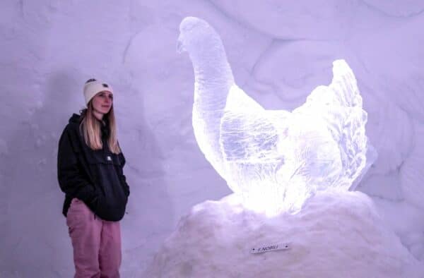 , &Agrave; Vars, une grotte de glace et ses 30 sculptures attendent les visiteurs&nbsp;, Made in Marseille