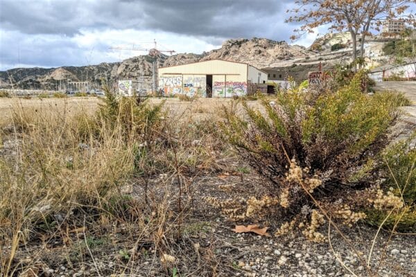 hangar-estaque-abandonne-friche-graff-tag-2