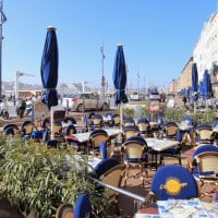 hippocampe-restaurant-vieux-port-marseille
