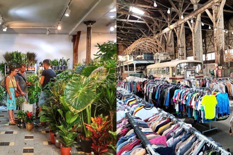 Vente de plantes et friperie géante à l&rsquo;hippodrome de Pont-de-Vivaux fin avril