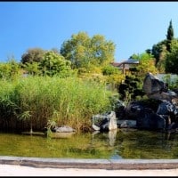 jardin-asiatique-parc-borely