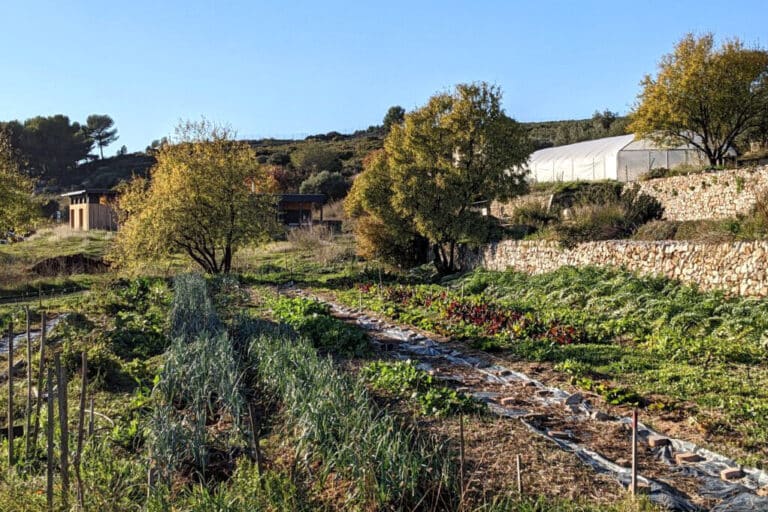 Vidéo | Colinéo, des terres agricoles préservées au nord-est de Marseille