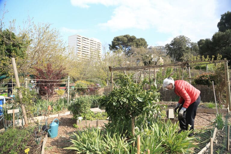Le jardin des Fadas Bucoliques à la Pointe-Rouge, une utopie qui s&rsquo;épanouit