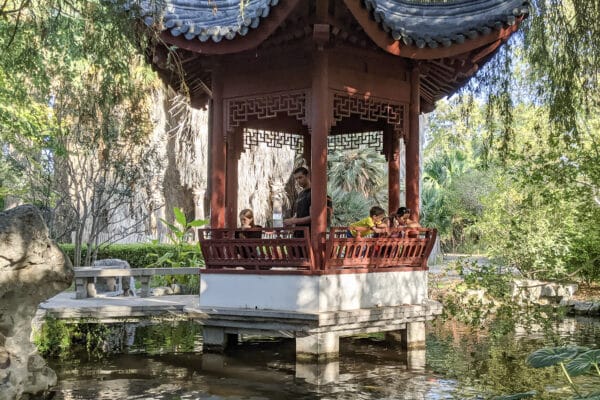 jardin-japonais-japon-bassin-lac-parc-1