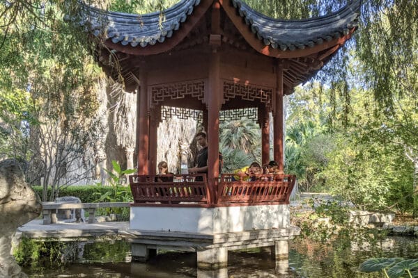 jardin-japonais-japon-bassin-lac-parc