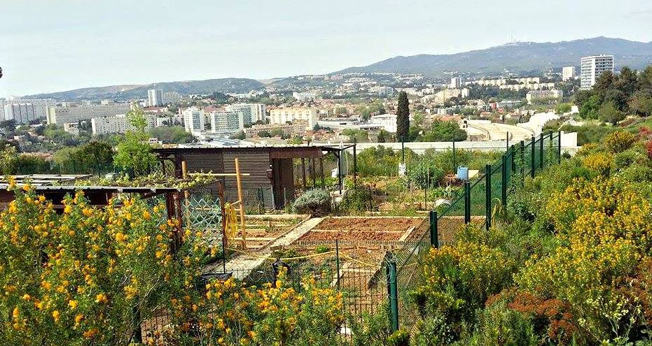 Marseille, terre d&rsquo;agriculture urbaine en plein essor
