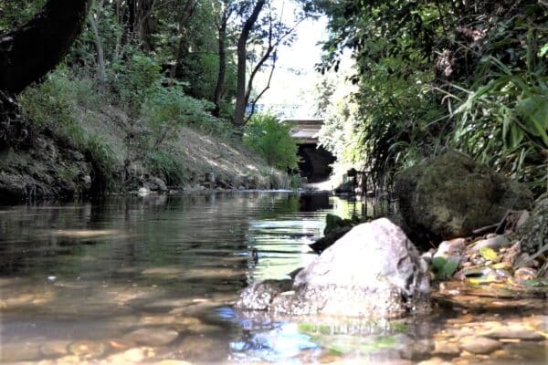 jarret-ruisseau-riviere-cours-eau-30