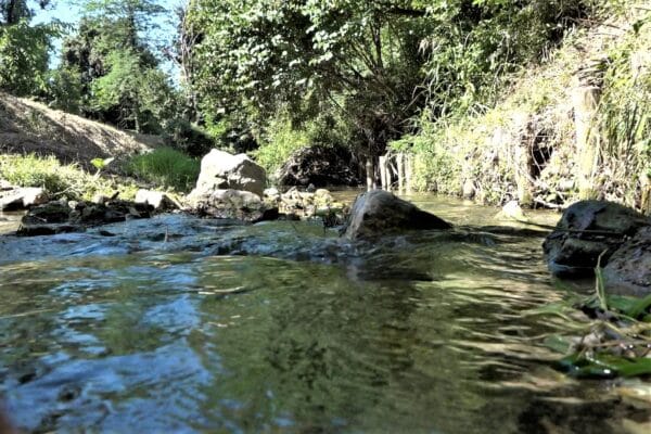 jarret-ruisseau-riviere-cours-eau-40