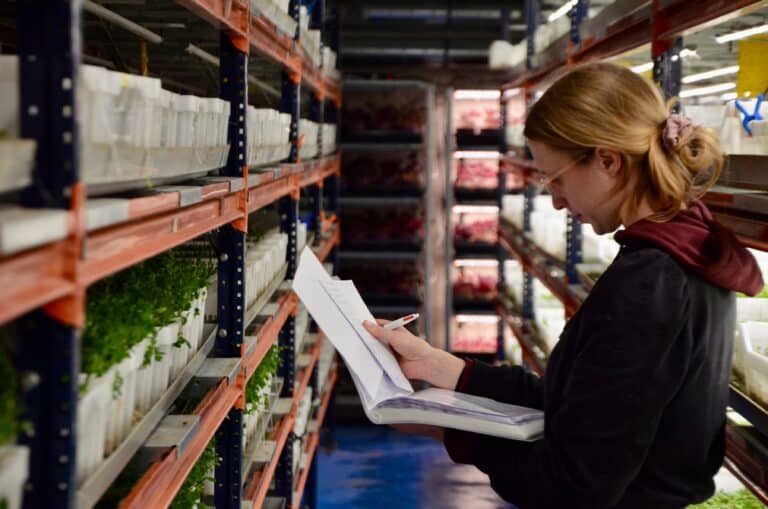 Dans cette ferme niçoise, les excréments de poissons servent d&rsquo;engrais pour les micro-pousses