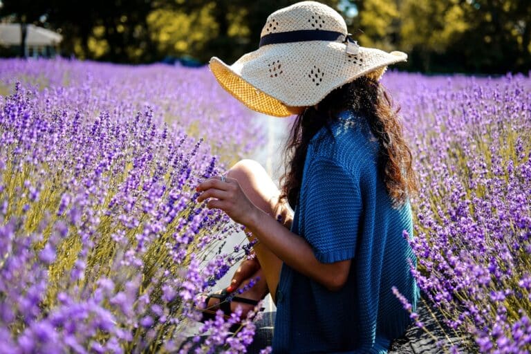 La Provence, terre de cosmétiques naturels, capitalise sur son image authentique