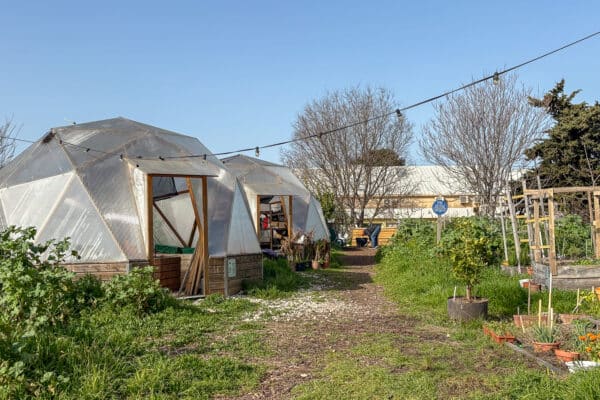 le-talus-ferme-urbaine (1)