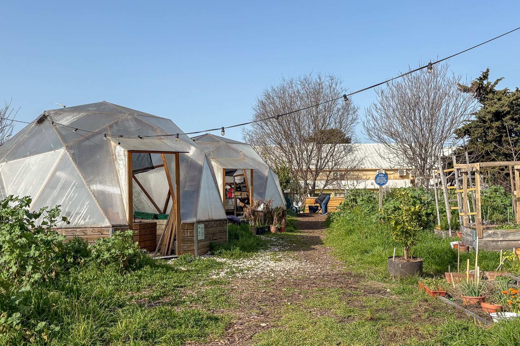 le talus ferme urbaine