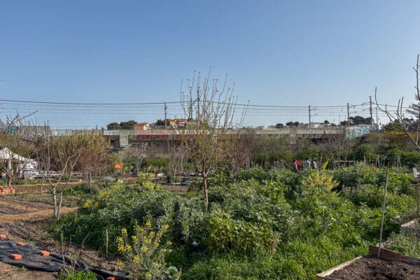 le-talus-ferme-urbaine (4)