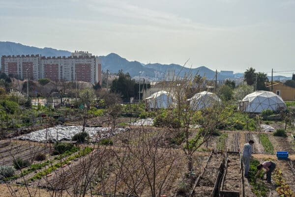 le-talus-ferme-urbaine
