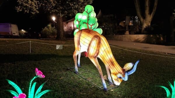 bagatelle, Une f&eacute;&eacute;rie lumineuse chaque soir dans le parc de Bagatelle, Made in Marseille