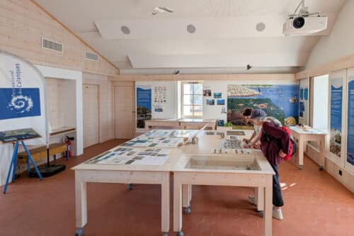 Villa Marine, Au Frioul, la Villa Marine sensibilise les visiteurs sur la biodiversit&eacute;, Made in Marseille