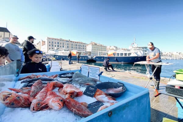 marche-poissons-vieux-port-2