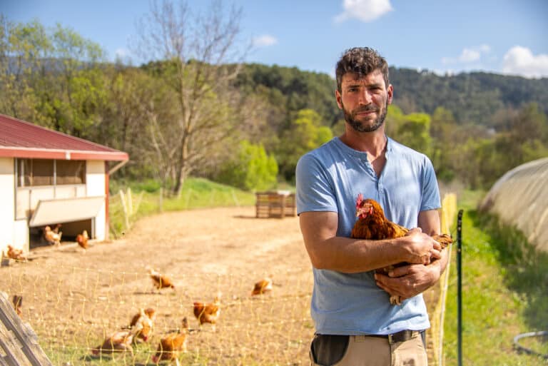 mathieu guibert éleveur poules pondeuses auriol