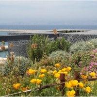 mucem-jardin-visite-fort-saint-jean