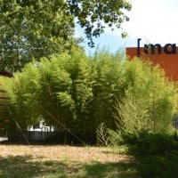 , Visitez les plus beaux mus&eacute;es de Marseille, Made in Marseille