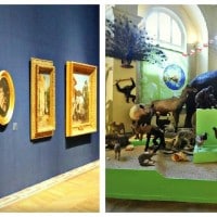 musee-art-histoire-longchamp-visite