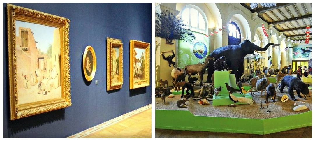 Visiter le Muséum d’Histoire Naturelle et le Musée des Beaux-Arts de Longchamp