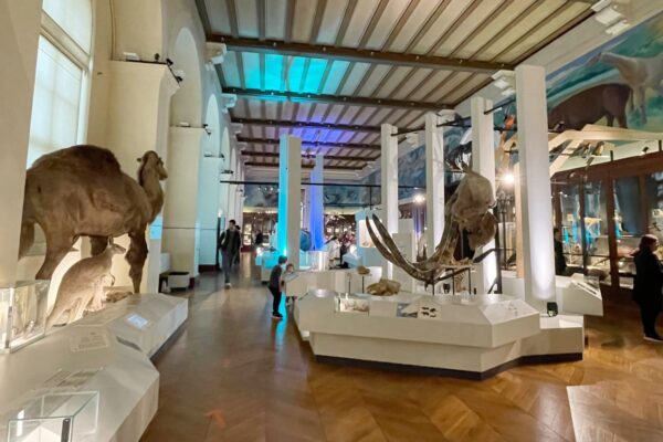 musee-histoire-naturelle-exposition-longchamp