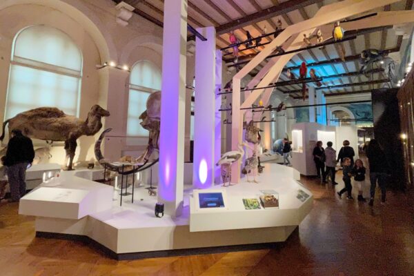 musee-histoire-naturelle-longchamp
