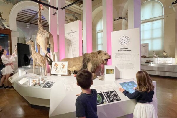 museum-histoire-naturelle-longchamp