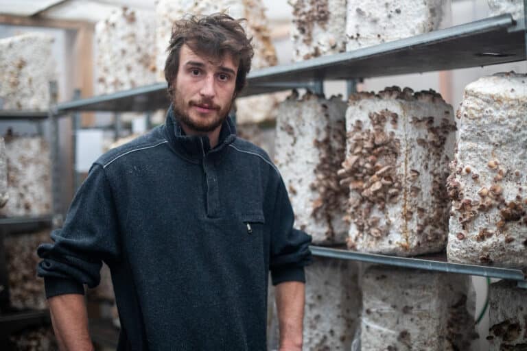 mycotopia