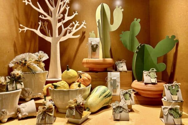 nouchig-chocolaterie-confiserie-chocolats-dragees-vacon-4