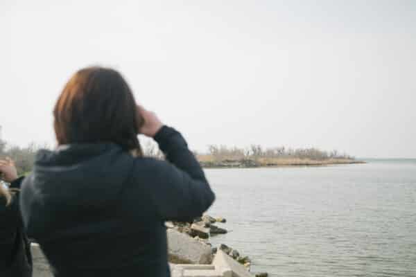Camargue, Camargue : Trois sites pour observer les oiseaux hors des sentiers battus, Made in Marseille