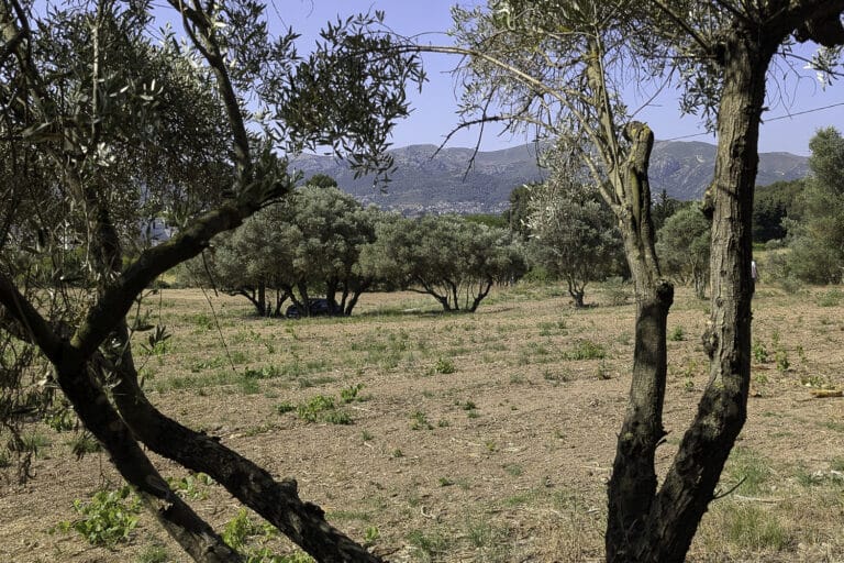 162 hectares agricoles sauvés par des citoyens dans la région Sud