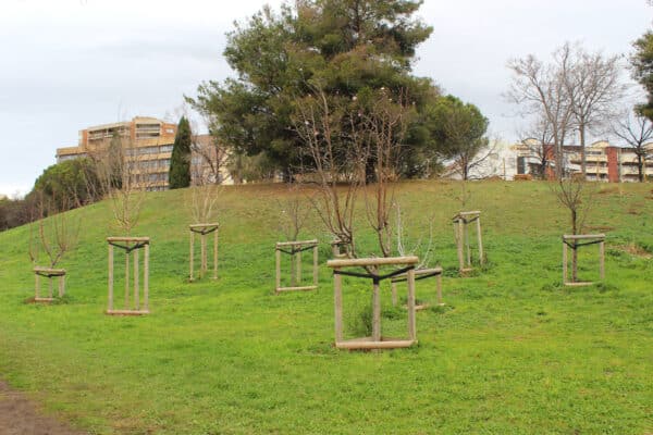 parc-26-centenaire-restauration-2025-16
