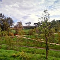 parc-athena-chateau-gombert