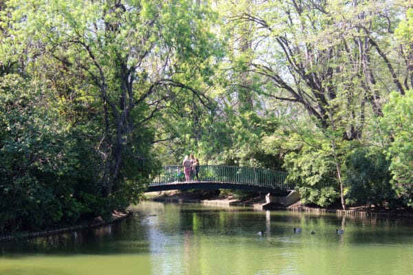 parc-borely-pont