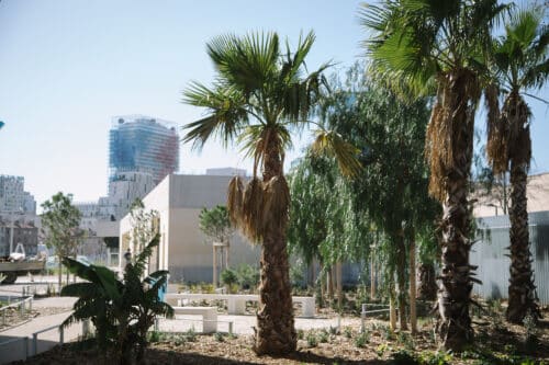 parc bougainville, En images | Le nouveau parc Bougainville a ouvert au public dans les quartiers Nord, Made in Marseille