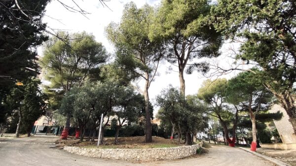 parc-comerie-arbre-centre-marseille