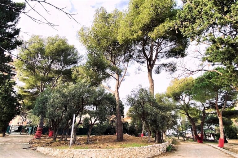 La cure de jouvence du parc de la Cômerie avant son ouverture au public