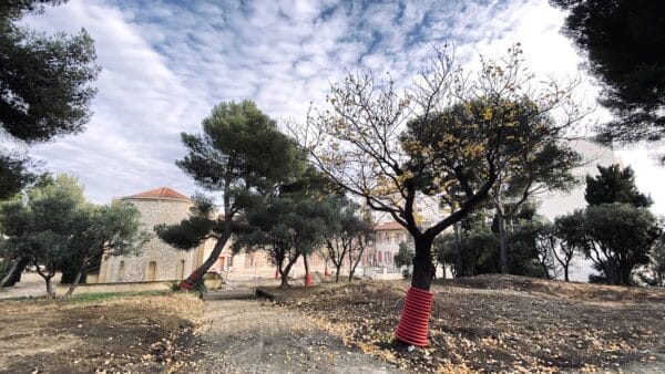 parc-de-la-comerie-marseille-végétalisation