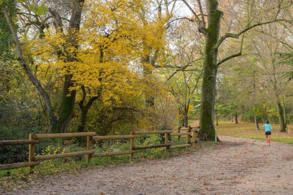 parc-de-la-torse-aix