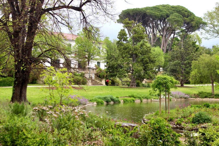 La restauration du parc de Maison Blanche se poursuit autour du lac remis en eau