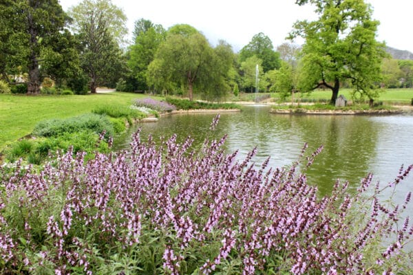 parc-maison-blanche-avril-2025-11