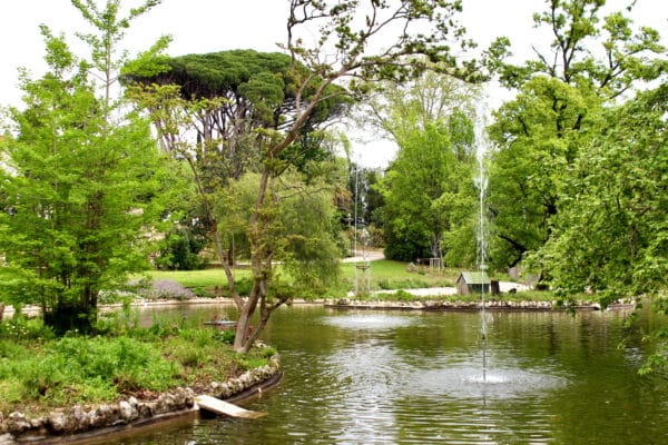 parc-maison-blanche-avril-2025-3