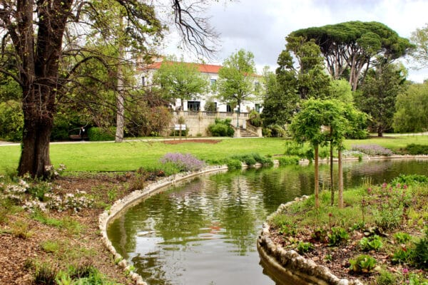 parc-maison-blanche-avril-2025-4