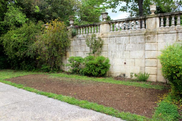 parc-maison-blanche-avril-2025-8